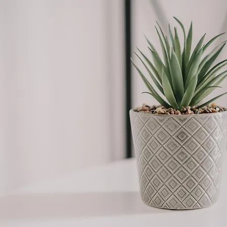 Sea Sailing Kontokali